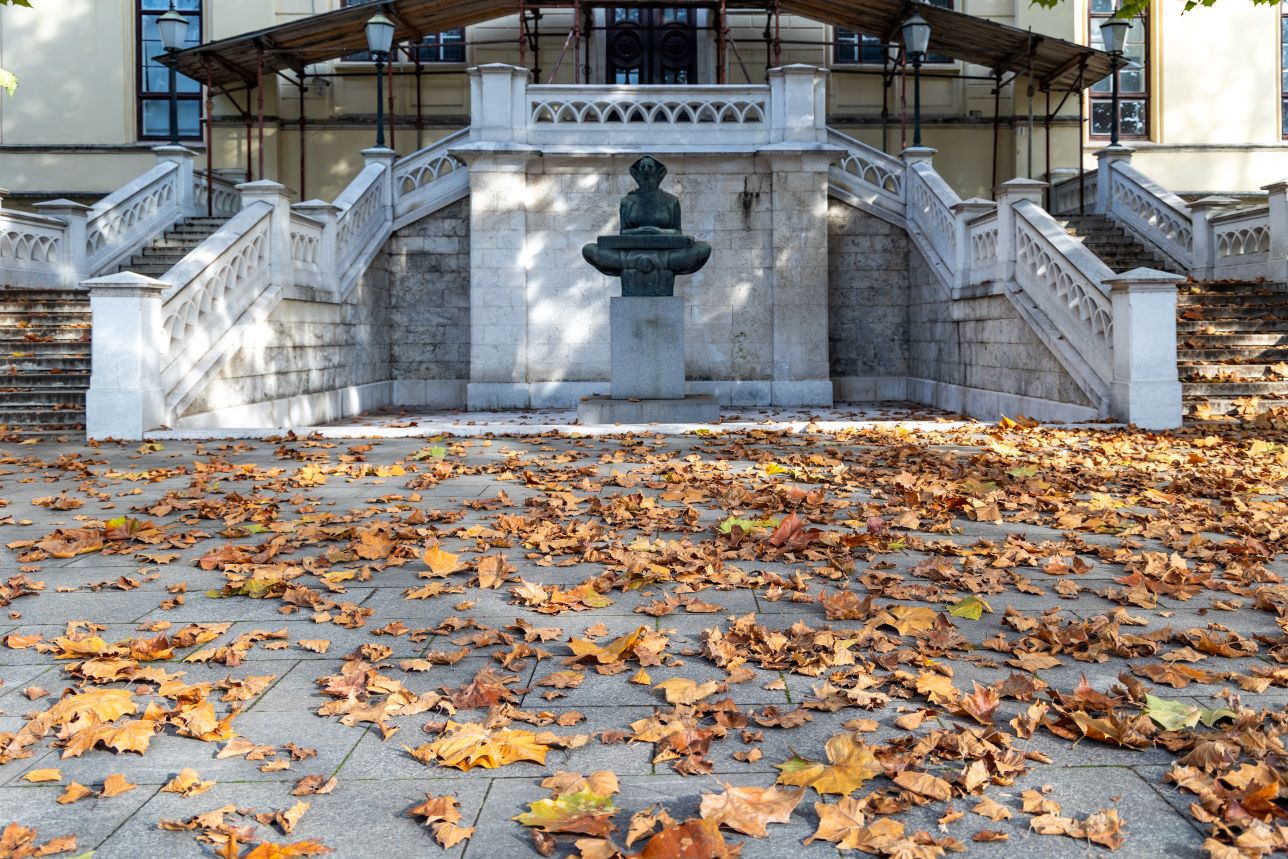 F-zin #52: Jadranska magistrala – i prometnica i razglednica